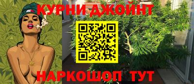 jwh Будённовск