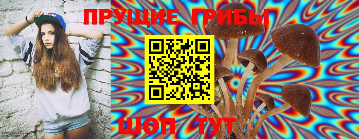 Псилоцибиновые грибы мухоморы Новороссийск
