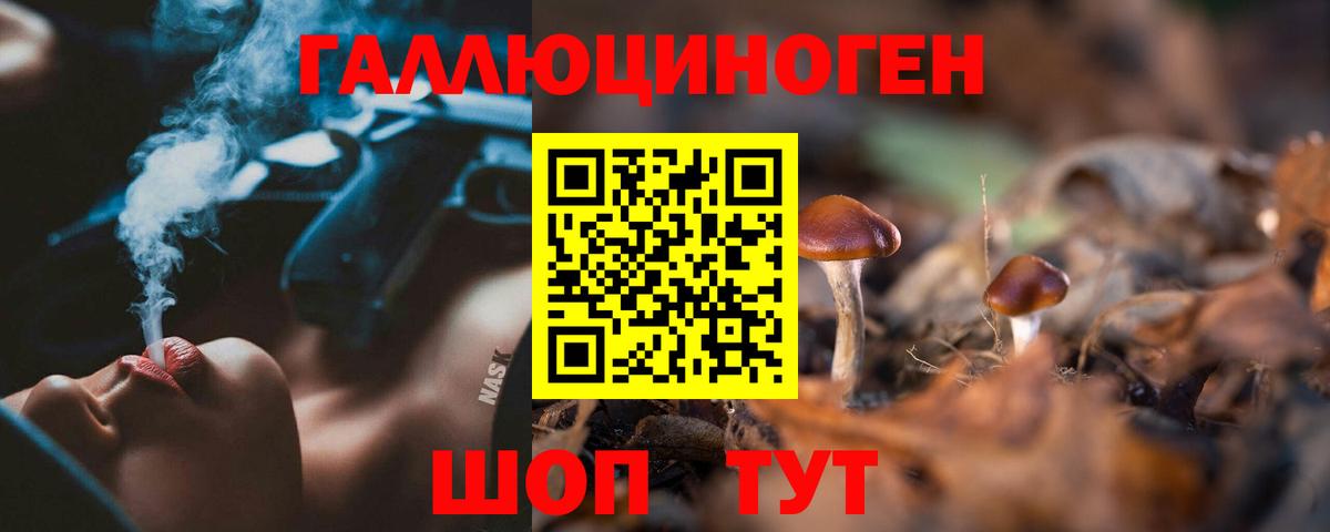 Новороссийск  Галлюциногенные грибы мухоморы  Вход с VPN 